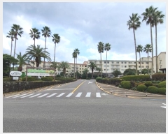  2024Ÿ35755   ̾ 684, 5 510ȣ (,ǳķ帮̴ܵϾ)    ܵ(ȣ)