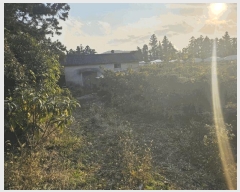  2024Ÿ35854    Ϸʸ 1368      ()