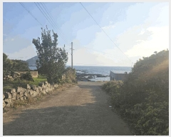  2024Ÿ35854    Ϸʸ 1368      ()