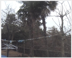  2024Ÿ��36024  ���ð��