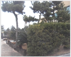  2024Ÿ��36024  ���ð��