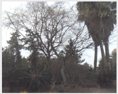  2024Ÿ��36024  ���ð��