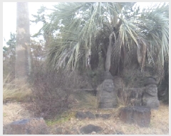  2024Ÿ��36024  ���ð��