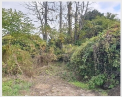  2024Ÿ��36116 ���� �������� ���� 2179-1       ����(������)���