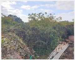  2024Ÿ��36116 ���� �������� ���� 2179-1       ����(������)���