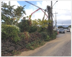  2024Ÿ��36116 ���� �������� ���� 2179-1       ����(������)���