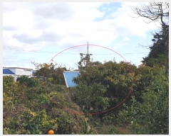  2024Ÿ��36116 ���� �������� ���� 2179-1       ����(������)���