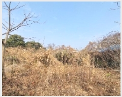  2024Ÿ��36116 ���� �������� ���� 2179-1       ����(������)���