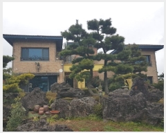  2024Ÿ36307  ֽ ֿ ұ 10      ð