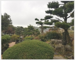  2024Ÿ36307  ֽ ֿ ұ 10      ð