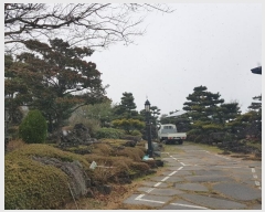  2024Ÿ36307  ֽ ֿ ұ 10      ð