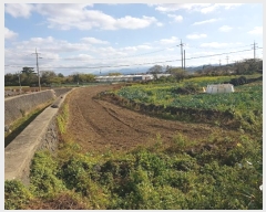  2024Ÿ36307  ֽ ֿ ұ 10      ð