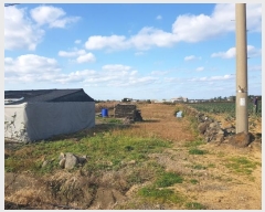  2024Ÿ36307  ֽ ֿ ұ 10      ð