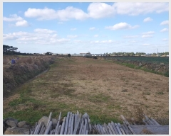  2024Ÿ36307  ֽ ֿ ұ 10      ð