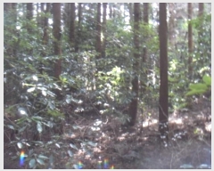  2024Ÿ37003   ȴ õ 580-9      (Ӿ)