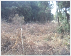  2024Ÿ37003   ȴ õ 580-9      (Ӿ)