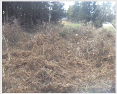  2024Ÿ37003   ȴ õ 580-9      (Ӿ)