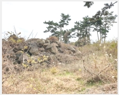  2024Ÿ37171  ֽ Ѱ θ 2933      (1)