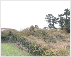  2024Ÿ37171  ֽ Ѱ θ 2933      (1)