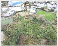  2024Ÿ37171  ֽ Ѱ θ 2933      (1)