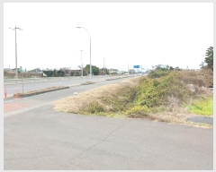  2024Ÿ37171  ֽ Ѱ θ 2933      (1)