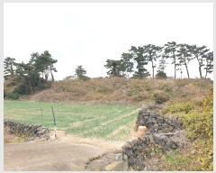  2024Ÿ37171  ֽ Ѱ θ 2933      (1)