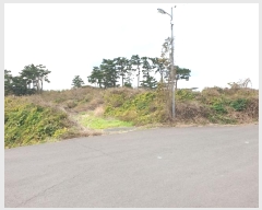  2024Ÿ37171  ֽ Ѱ θ 2933      (1)