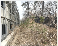  2024Ÿ63532   籸  672-49      ð