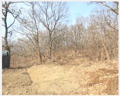  2024Ÿ9521  ֽ   30-6      (Ӿ)