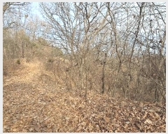  2024Ÿ9521  ֽ   30-6      (Ӿ)