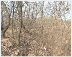  2024Ÿ9521  ֽ   30-6      (Ӿ)