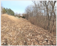  2024Ÿ9521  ֽ   30-6      (Ӿ)