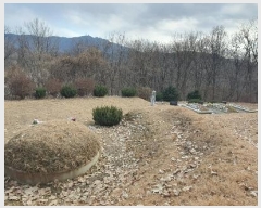  2024Ÿ9521  ֽ   30-6      (Ӿ)