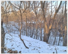  2024Ÿ9521  ֽ   30-6      (Ӿ)