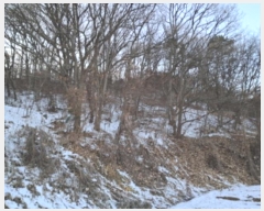  2024Ÿ9521  ֽ   30-6      (Ӿ)