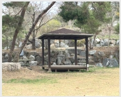  2024Ÿ��63808 ��� ���ֽ� ������ ������ 558-1      ���ð��