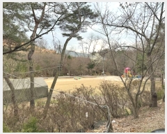  2024Ÿ��63808 ��� ���ֽ� ������ ������ 558-1      ���ð��