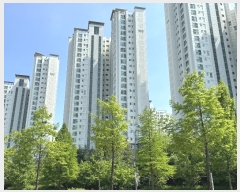  2024Ÿ��68247 ��� ���ֽ� �ؼַ� 85, 103�� 8��804ȣ (�񵿵�,�ؼָ���1�����λ�����)    ����Ʈ���