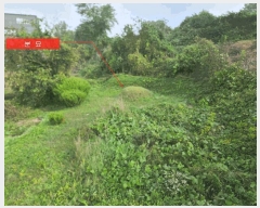  2024Ÿ81493  ֽ ź 츮 230-3      (1)