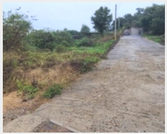  2024Ÿ81493  ֽ ź 츮 230-3      (1)