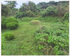  2024Ÿ81493  ֽ ź 츮 230-3      (1)