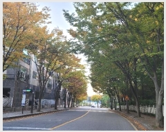  2024Ÿ83277   ϻ꼭 ȭ1 12-6, 4 2201ȣ (ȭ,س丮)   ټ,