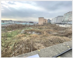  2024Ÿ84768   ϻ굿 Ļ絿 233-1      (1)