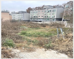  2024Ÿ84768   ϻ굿 Ļ絿 233-1      (1)