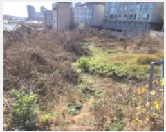  2024Ÿ84768   ϻ굿 Ļ絿 233-1      (1)