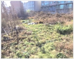  2024Ÿ84768   ϻ굿 Ļ絿 233-1      (1)