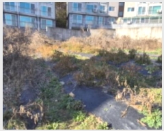  2024Ÿ84768   ϻ굿 Ļ絿 233-1      (1)