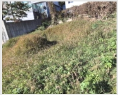  2024Ÿ84768   ϻ굿 Ļ絿 233-1      (1)