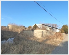  2024Ÿ85617  ֽ  ָ 209      (1)