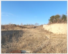  2024Ÿ85617  ֽ  ָ 209      (1)